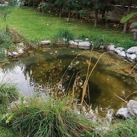 Qvintesencia טרצ'ובה