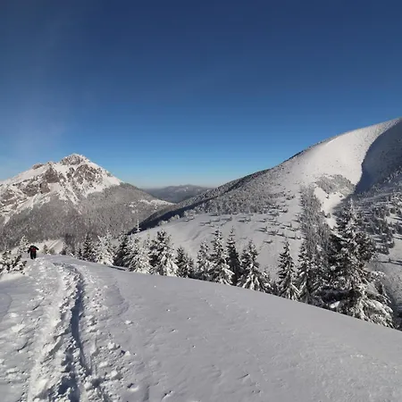 度假居 Qvintesencia