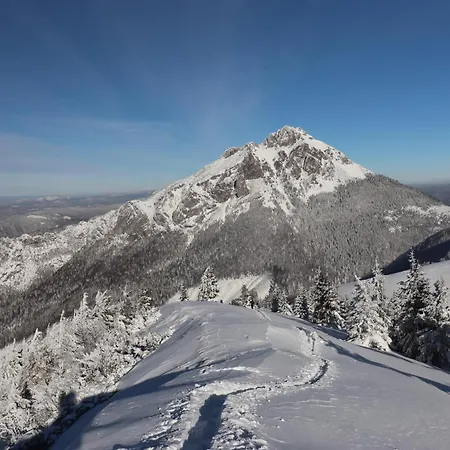 Qvintesencia 度假居 *