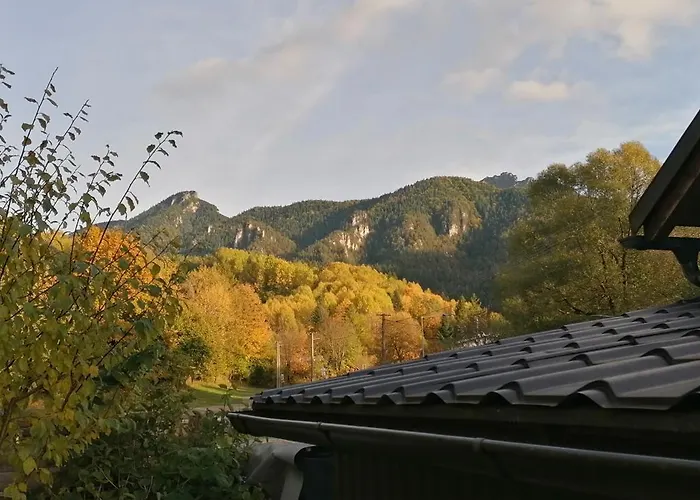 Дом отдыха Qvintesencia