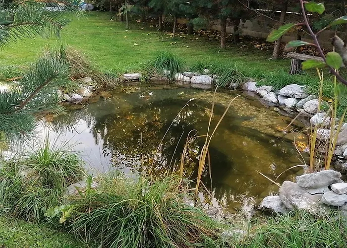 Qvintesencia Терхова