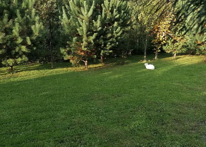 Qvintesencia Terchová