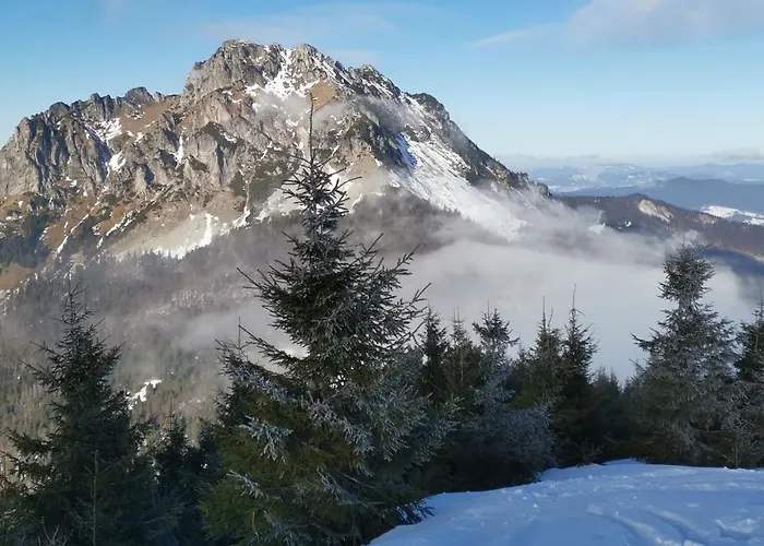 Дом отдыха Qvintesencia