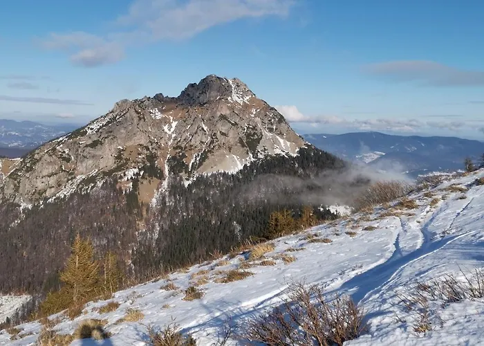 Qvintesencia Дом отдыха