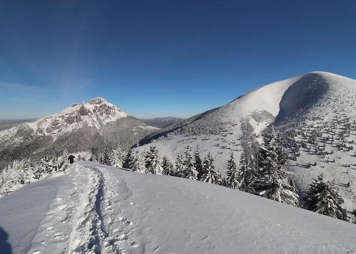 Дом отдыха Qvintesencia