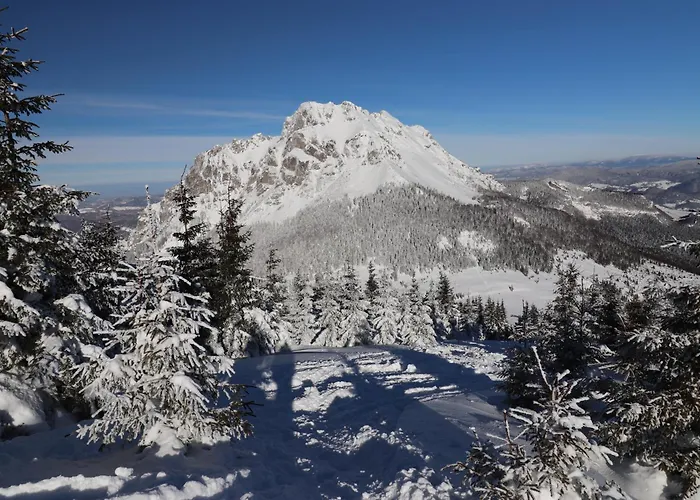 Дом отдыха Qvintesencia *