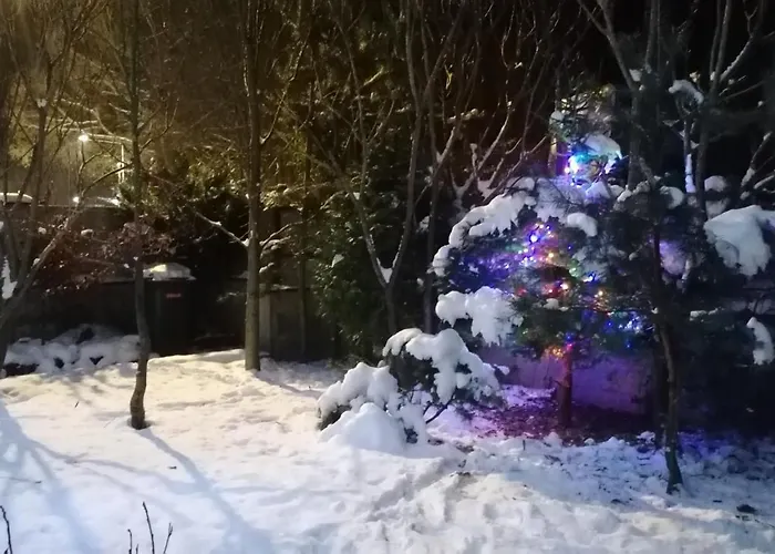 Qvintesencia Терхова